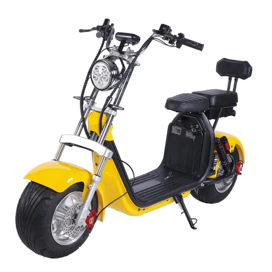 Citycoco Electric Scooter 2 Wheel with Fat Tire Popular 2000W 60V CE with Removable Lithium Battery 1500W