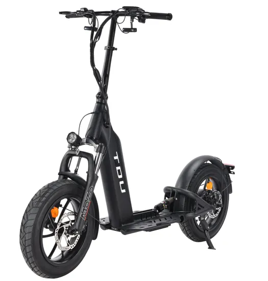 Fat Tire 500W Motor 48V 13ah Lithium Battery Long Distance Kick E