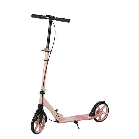 2024 New Arrival Fashion Design Many Function Two Wheels Adult Kick Scooter 